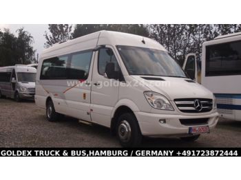 Coach Mercedes-Benz EVOBUS Sprinter 516 Travel 45 Klima  Euro 5 EEV: picture 1