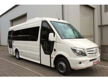 Minibus, Passenger van Mercedes-Benz Sprinter 516 CDi Heckniederflur  (Euro 6 VI): picture 1