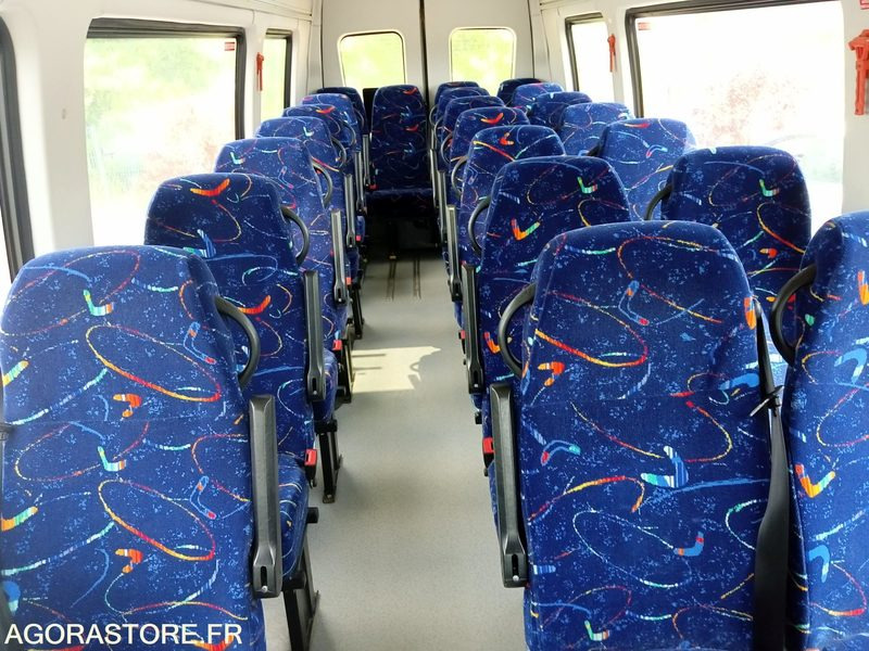 Minibus Iveco Daily Line
