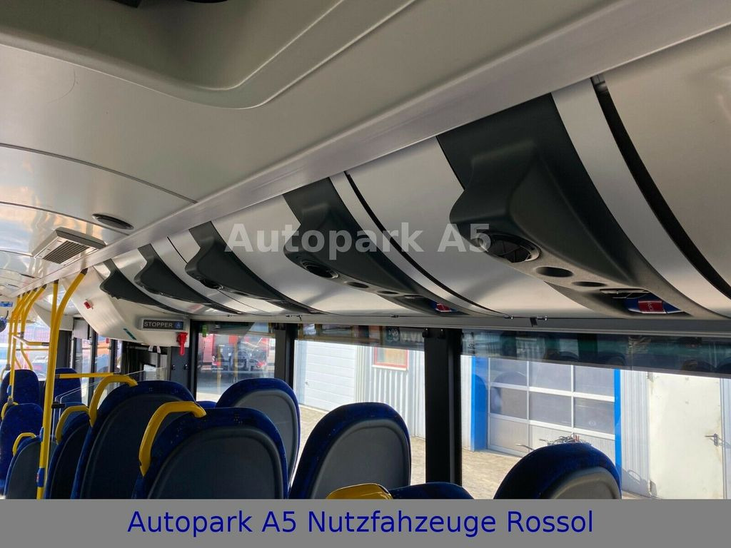 City bus Solaris Urbino 12H Bus Euro 5 Rampe Standklima: picture 16