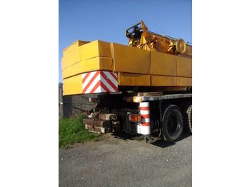 Mobile crane HYDROS DS-0401T: picture 1