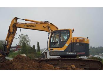 Crawler excavator Hyundai Robex: picture 1