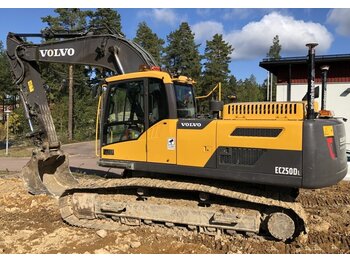 Crawler excavator VOLVO EC250DL: picture 1