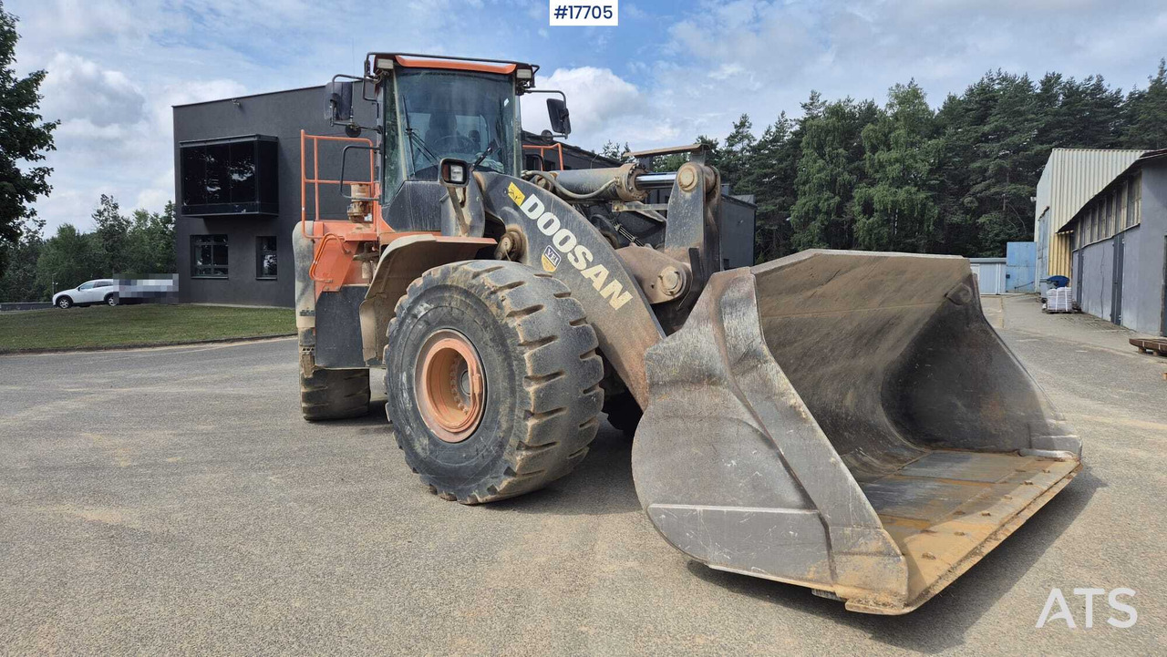 Wheel loader 2019 Doosan  DL550-5