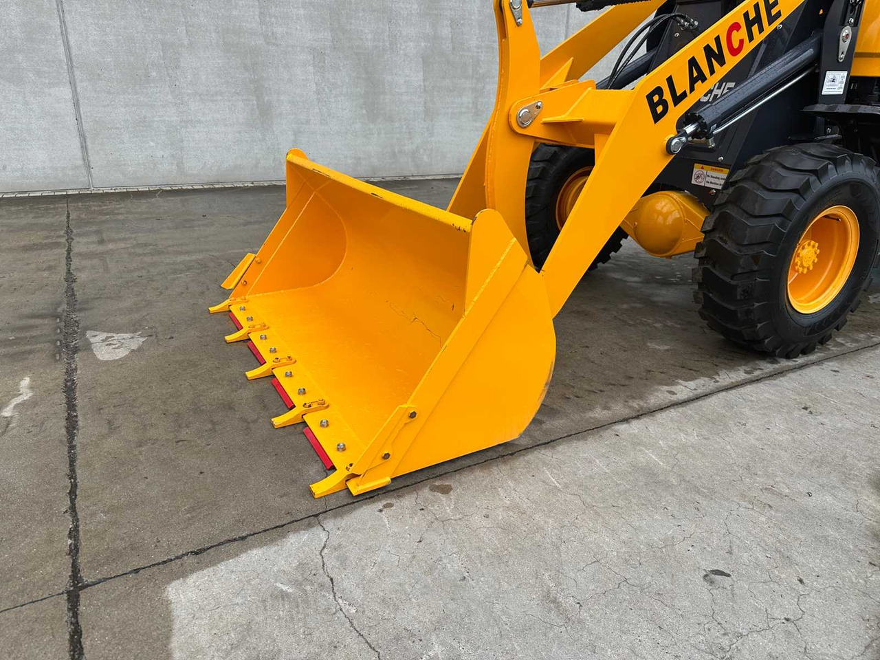 Wheel loader BLANCHE - 2025 - TW36 - SHOVEL