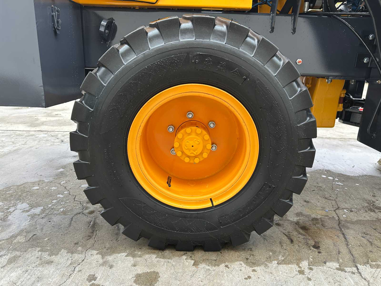 Wheel loader BLANCHE - 2025 - TW36 - SHOVEL