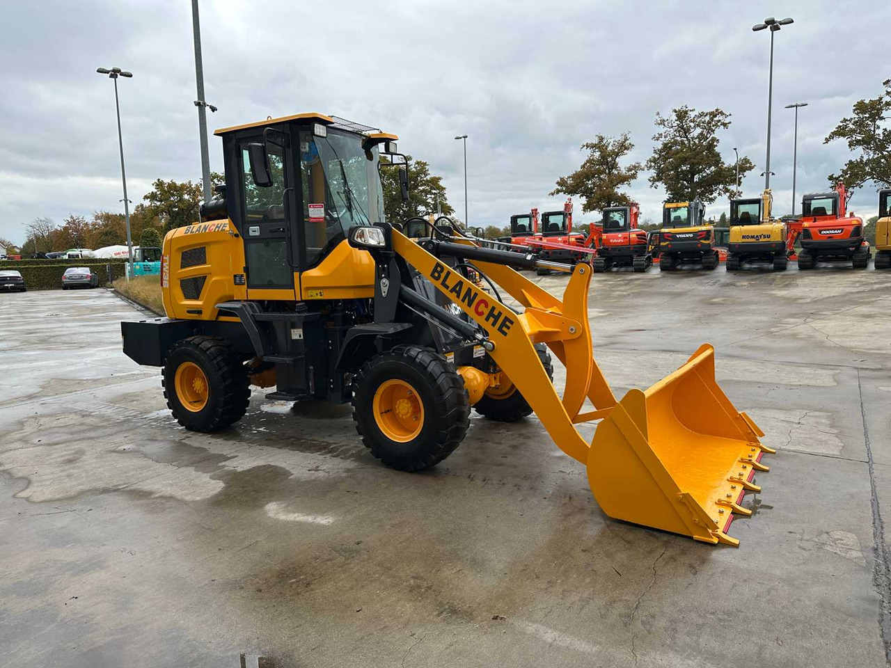 Wheel loader BLANCHE - 2025 - TW36 - SHOVEL