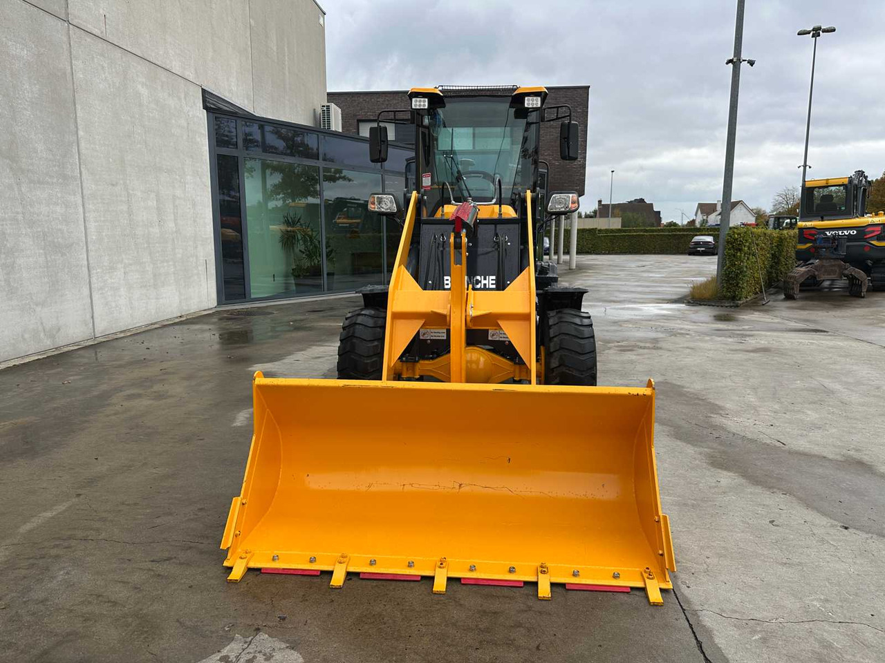 Wheel loader BLANCHE - 2025 - TW36 - SHOVEL