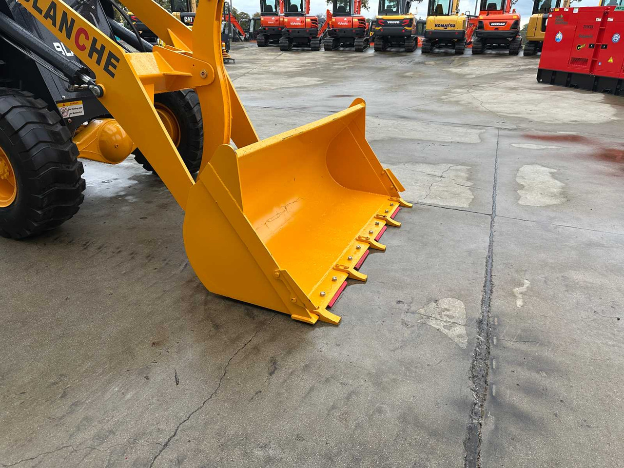 Wheel loader BLANCHE - 2025 - TW36 - SHOVEL