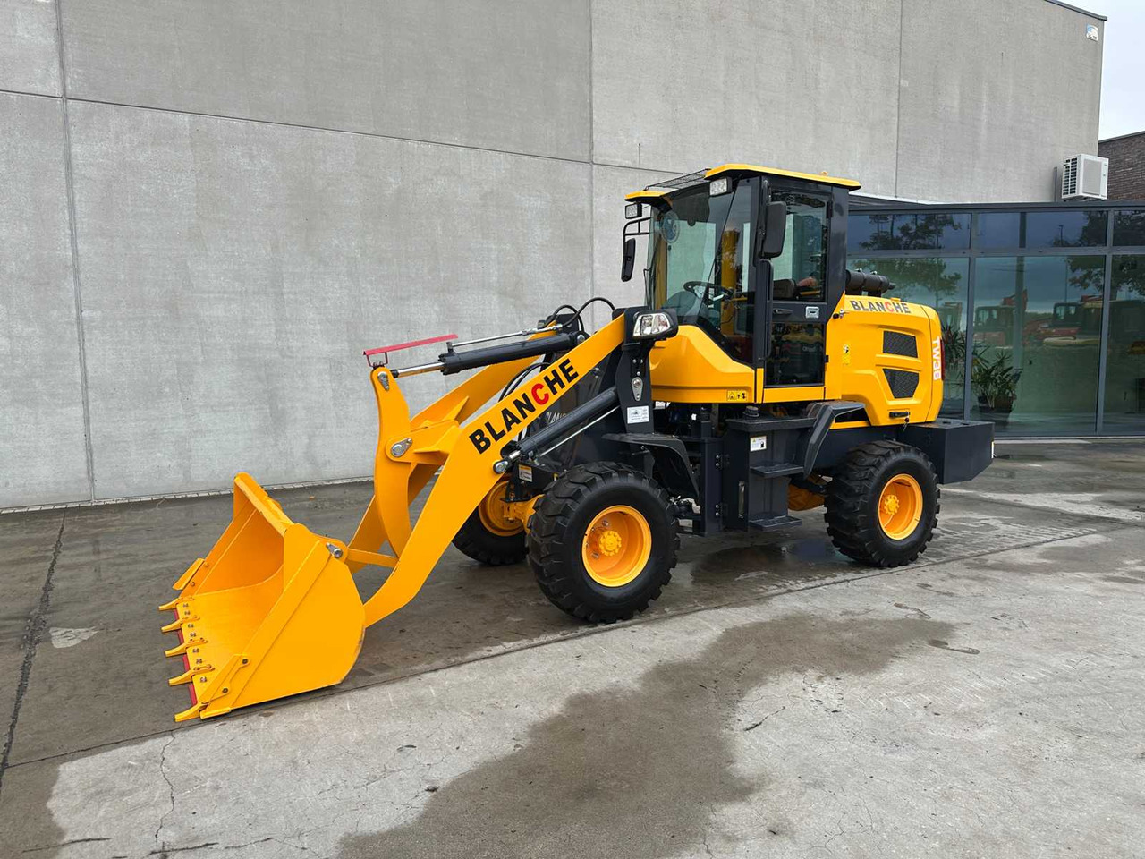 Wheel loader BLANCHE - 2025 - TW36 - SHOVEL