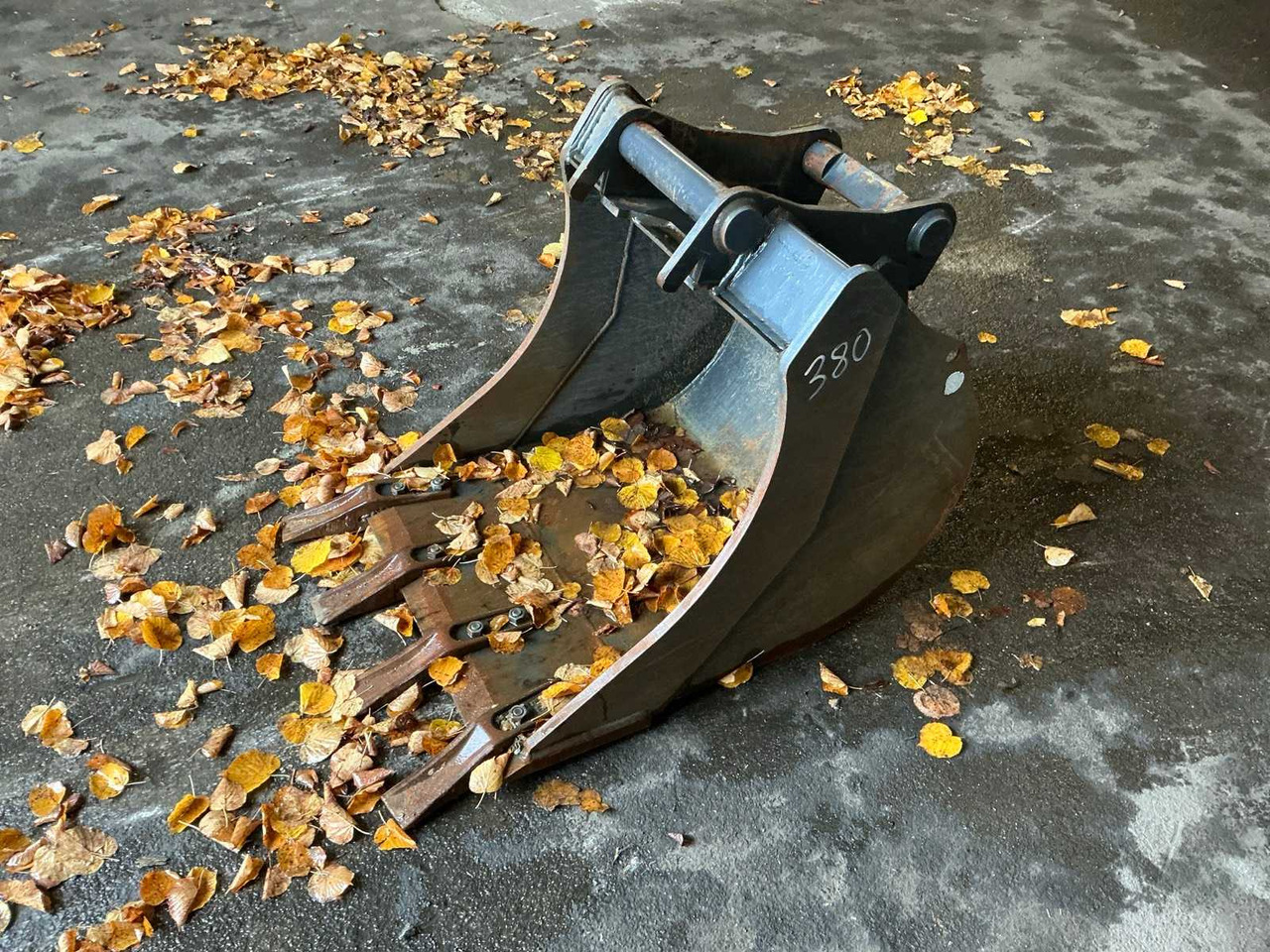 Wheel loader CANGINI - 2021 - SPOONS