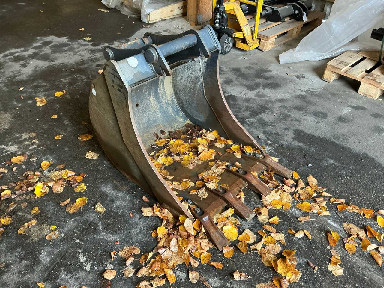 Wheel loader CANGINI - 2021 - SPOONS