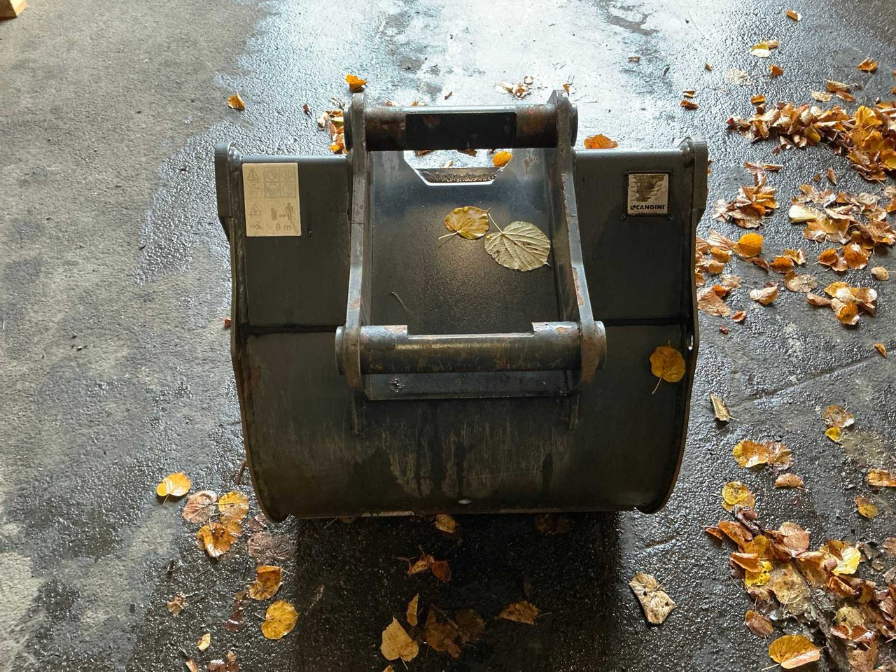 Wheel loader CANGINI - 2021 - SPOONS