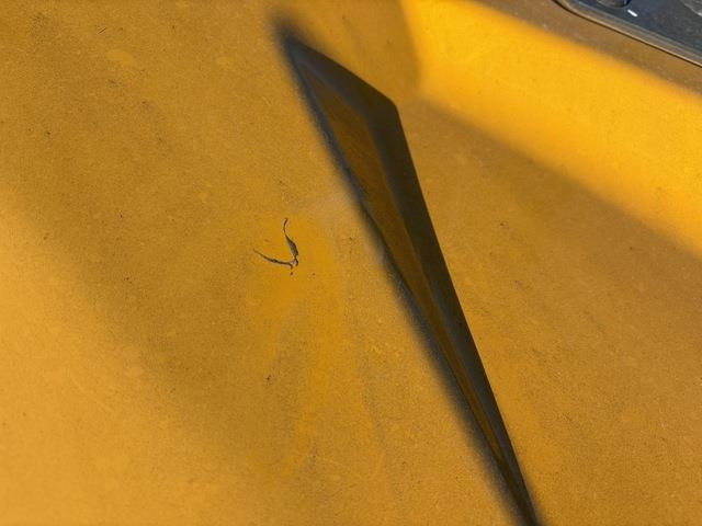 Wheel loader CAT 906