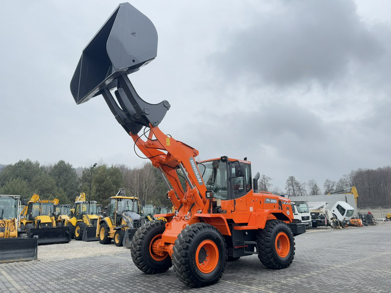 Wheel loader Doosan DL250 14,5Ton Łyżka Wysokiego Wysypu !!!