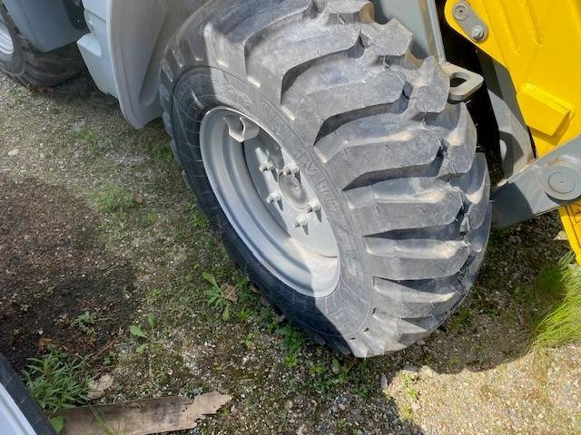 Wheel loader Kramer 5035 MIETE / RENTAL Niedrigkabine (12002042)