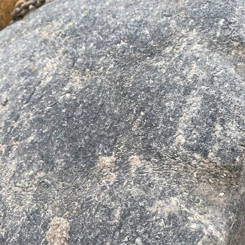 Wheel loader Liebherr L541