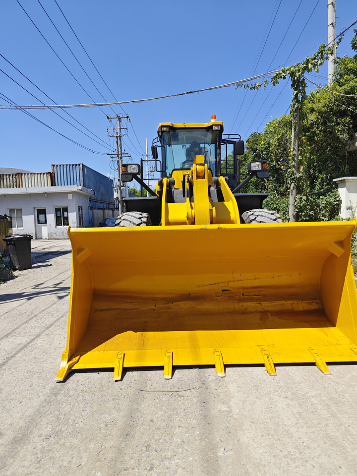 Wheel loader SDLG L956F