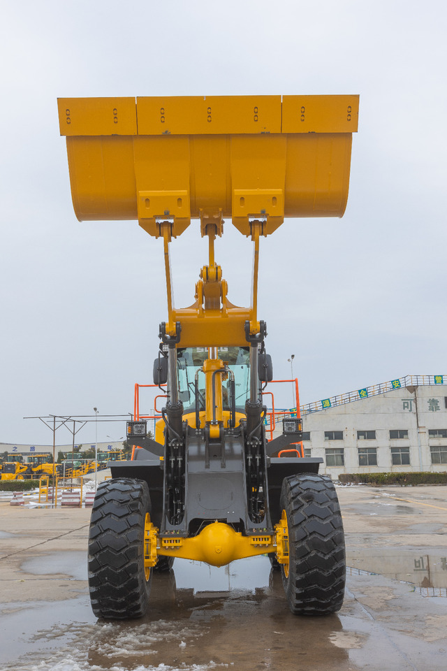 Wheel loader SDLG L958H