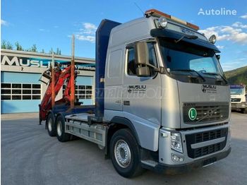 Forestry trailer, Crane truck VOLVO FH 480: picture 1
