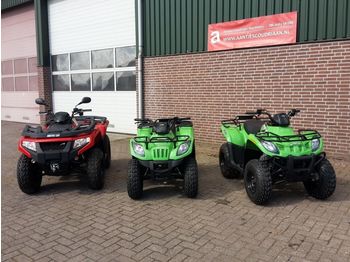 Side-by-side/ ATV ARCTIC cat quads: picture 1