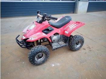 Side-by-side/ ATV Childs Petrol Quad Bike: picture 1