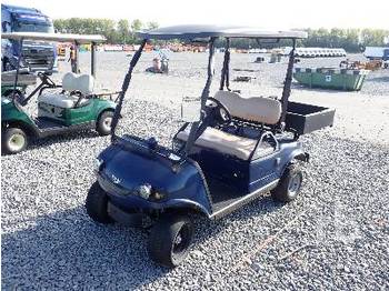 Golf cart HDK: picture 1