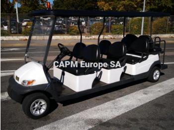Golf cart Liberty A1S6: picture 1