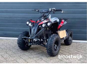 Side-by-side/ ATV Ultra Motocross Renegade 1000W: picture 1