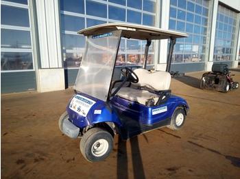 Golf cart Yamaha Electric Golf Cart, Charger (Non Runner): picture 1