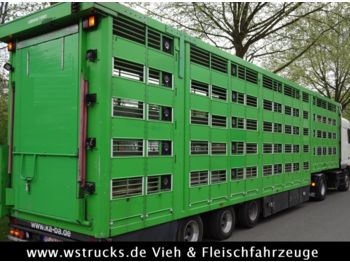 Livestock semi-trailer KABA 5 Stock Lenk Lift Typ2 Lüfter Dusche Tränk: picture 1