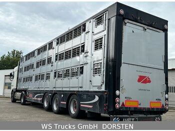Finkl 3 Stock  Vollausstattung Hubdach  - Livestock semi-trailer