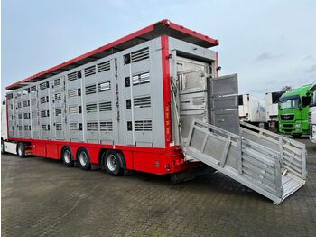 Livestock semi-trailer Menke 4 Stock Lenk Lift Typ2 Lüfter Dusche Tränk