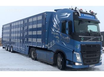 Leasing  New PLAVAC 3+4 - livestock semi-trailer