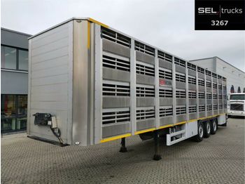 Livestock semi-trailer Pezzaioli CIMC / SR03 / 4 Stock / Typ 2 / Ferkeltransporte