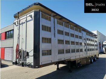 Livestock semi-trailer Pezzaioli Menke-Janzen / 4 Stock / Hudbach / Lenkachse: picture 1