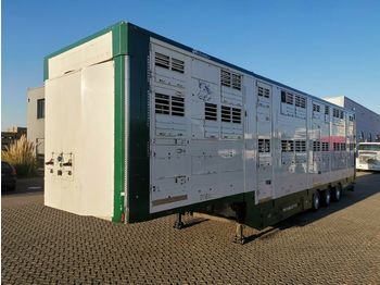 Livestock semi-trailer Pezzaioli Michieletto SM39 / 3 Stock / Thermoking: picture 1