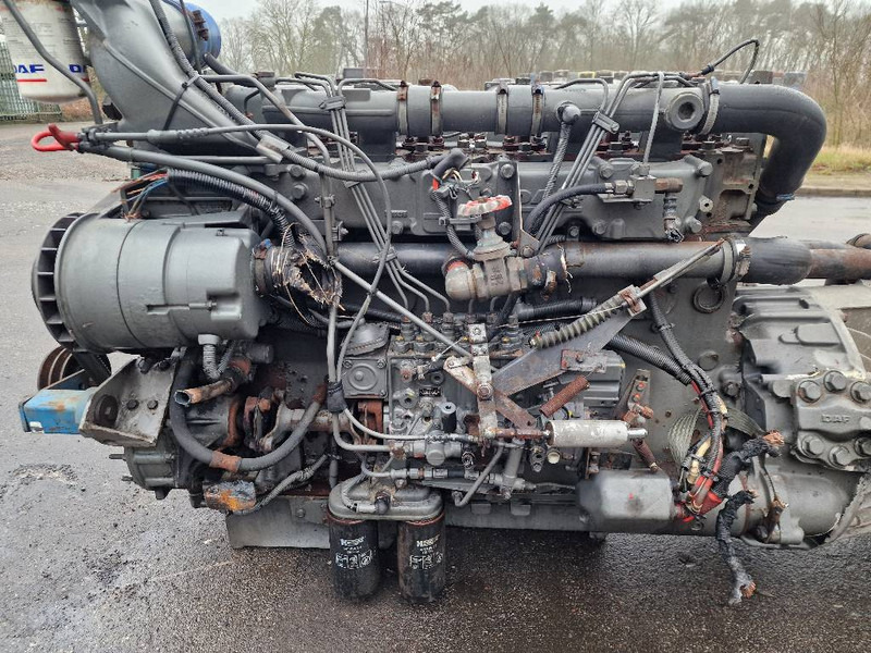 Engine for Truck DAF WS268M: picture 6