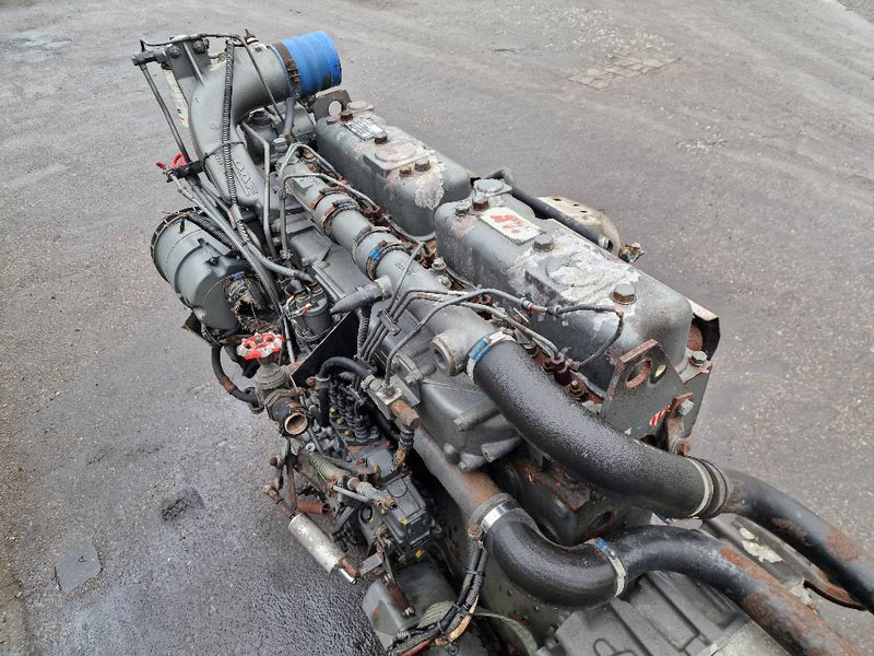 Engine for Truck DAF WS268M: picture 7