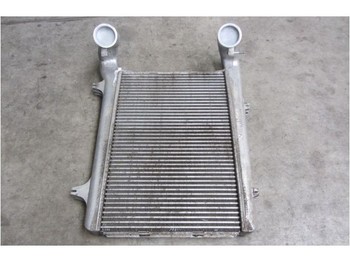 Intercooler for Truck DAF xf 105: picture 1
