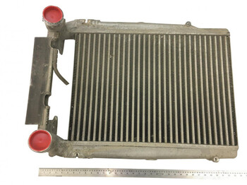 Cooling system Denso Midlum (01.00-): picture 1