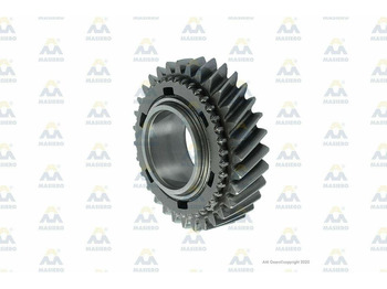  AM Gears 62414 Masiero 2.ter Gang 31 Z. passend BMW 62414 - Gearbox and parts