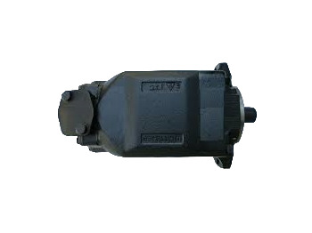 Hydraulic pump HYUNDAI