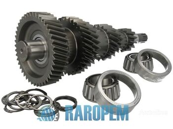 Gearbox and parts IVECO EuroCargo
