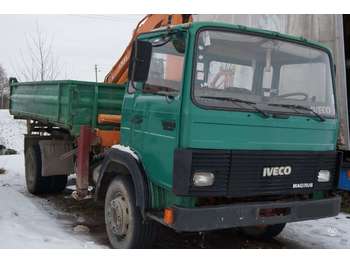 Spare parts for transportation of containers for Truck Iveco Magirus Eurotech Dailly TurboZ: picture 1