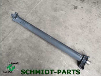 Axle and parts for Truck MAN 81.39382-6165 Cardanas: picture 1