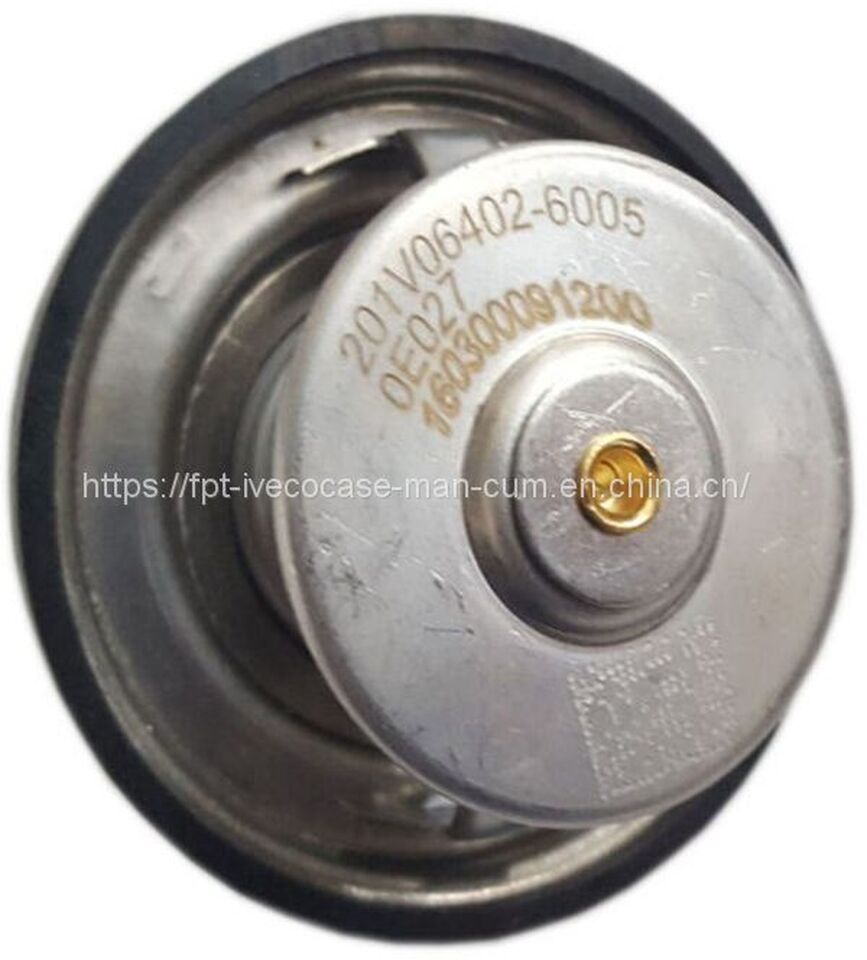 Thermostat MAN D2066 Thermostat 83 ℃ ~ 95 ℃ 06402-6005: picture 2
