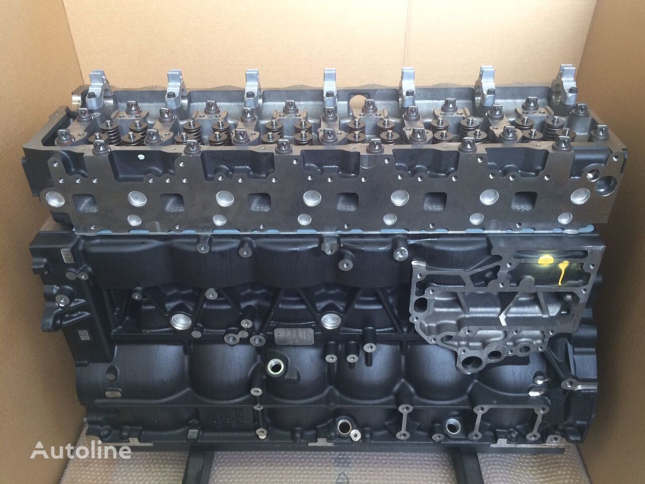 Engine for Truck MAN MOTORE D2676LF46 - 440CV: picture 14
