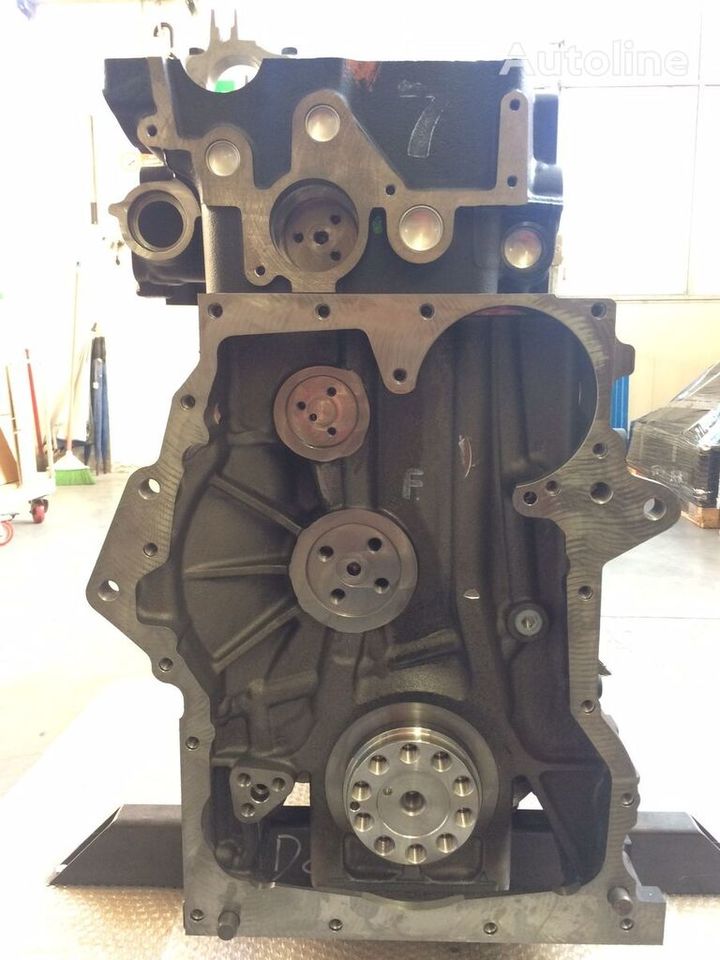 Engine for Truck MAN MOTORE D2676LF46 - 440CV: picture 10