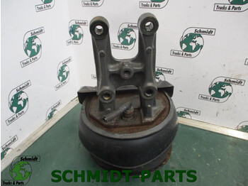 Suspension for Truck Mercedes-Benz A 960 320 15 17 Luchtbalg: picture 1